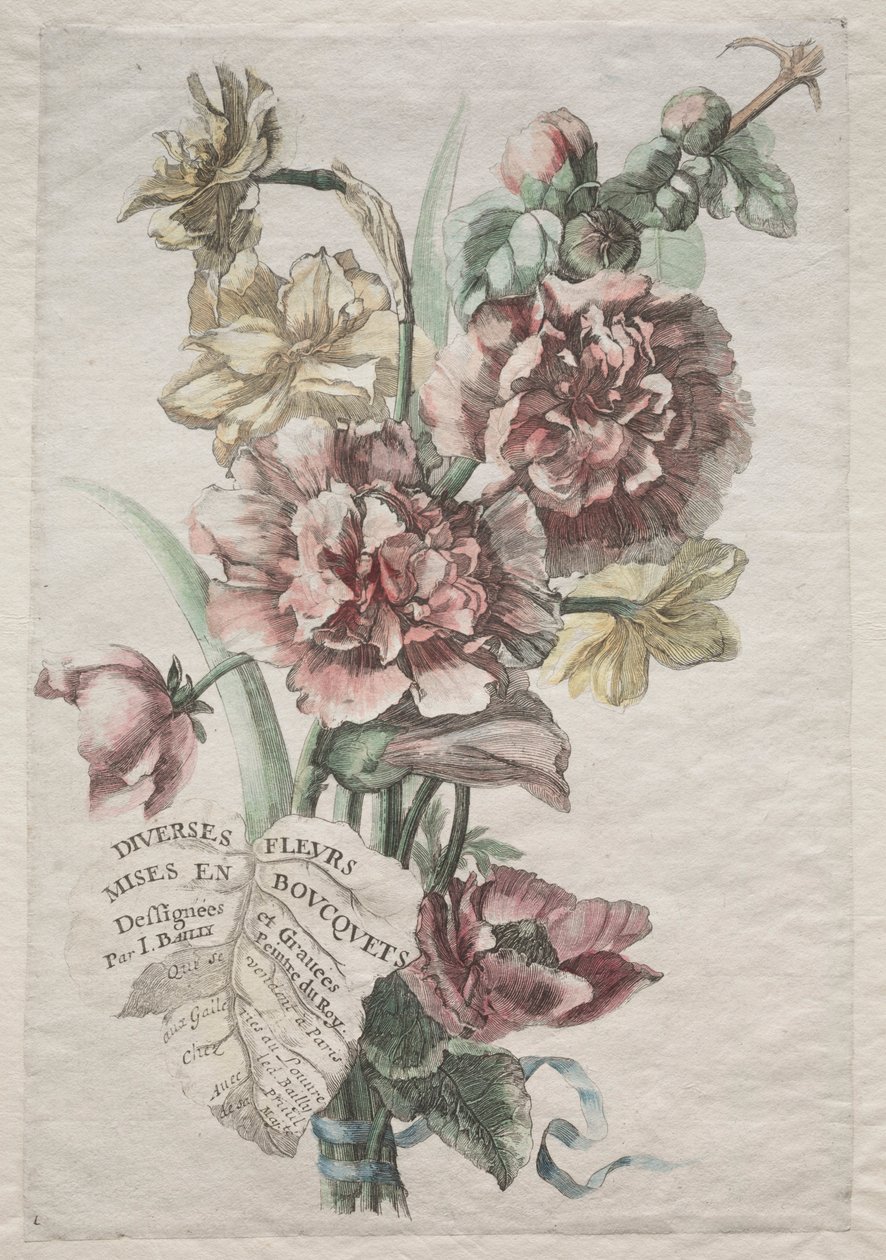 Különféle virágok csokorban: 1. sz. - Mályvarú és nárcisz, c. 1670. alkotó: Jacques I Bailly