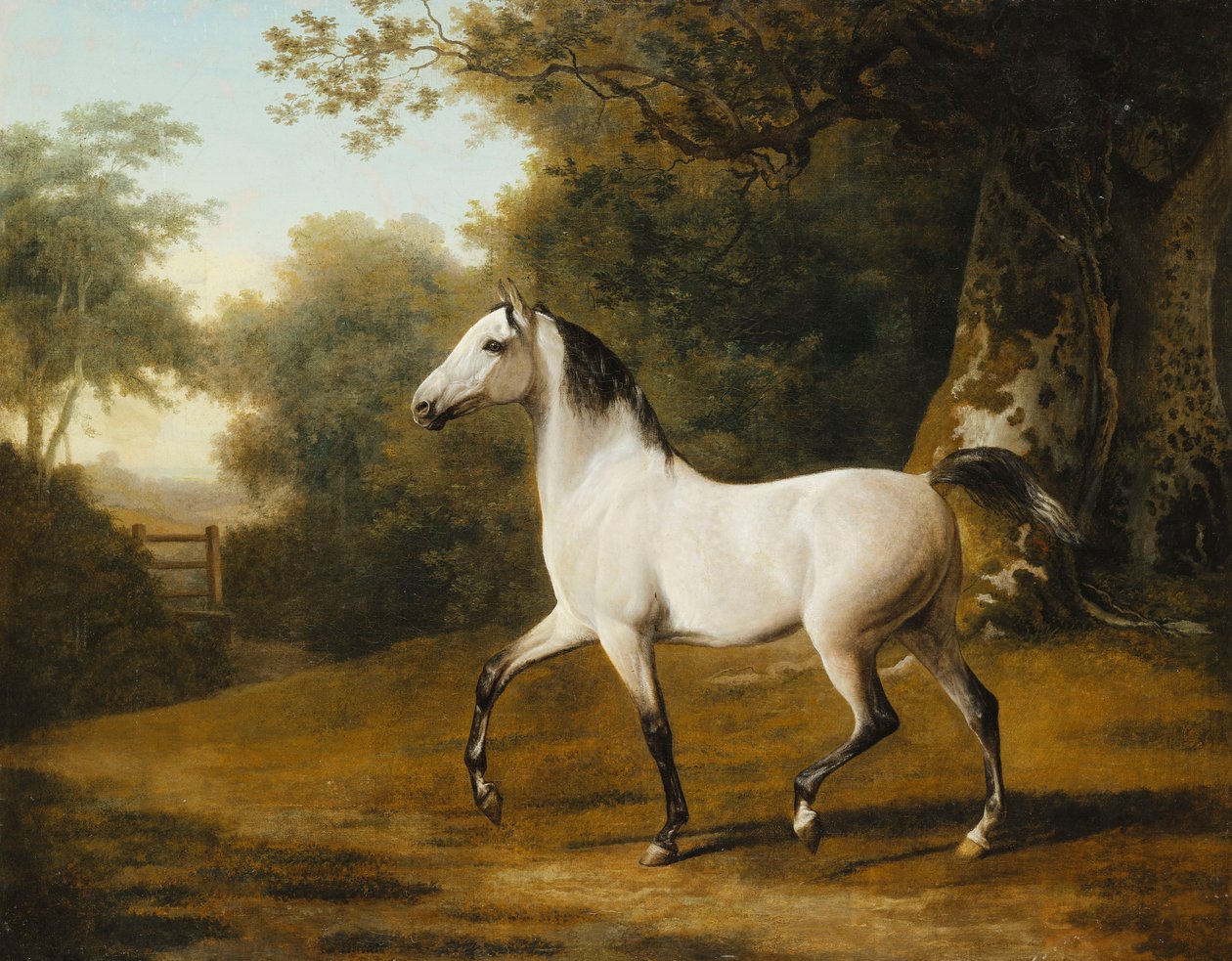 Egy szürke arab mén erdős tájon, alkotó: Jacques Laurent Agasse