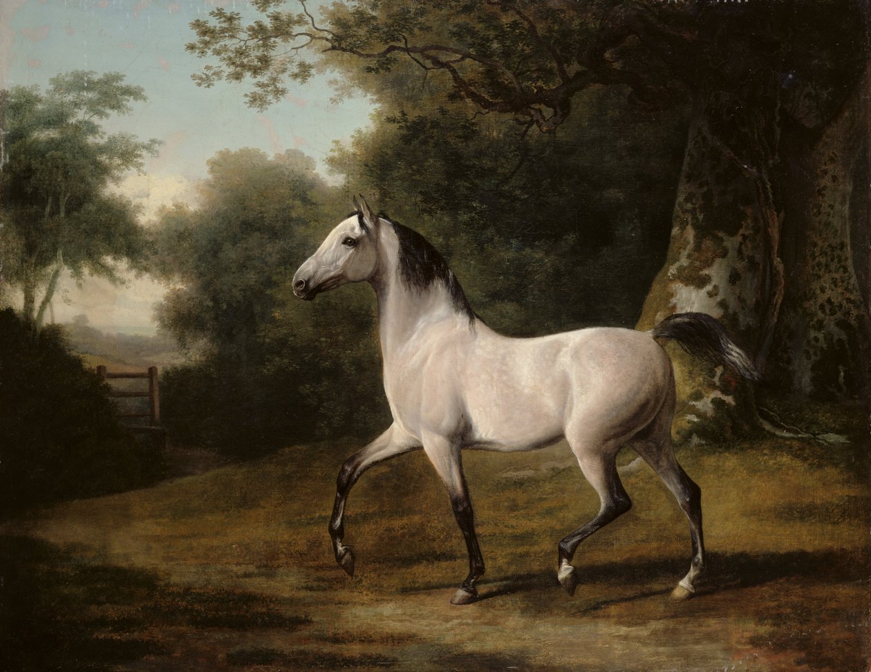 Szürke arab mén erdős tájon alkotó: Jacques Laurent Agasse