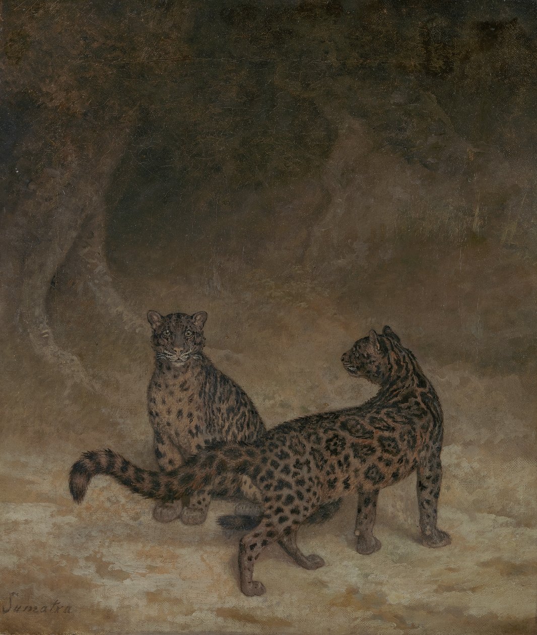 Felhős leopárdok, 1825 körül alkotó: Jacques Laurent Agasse