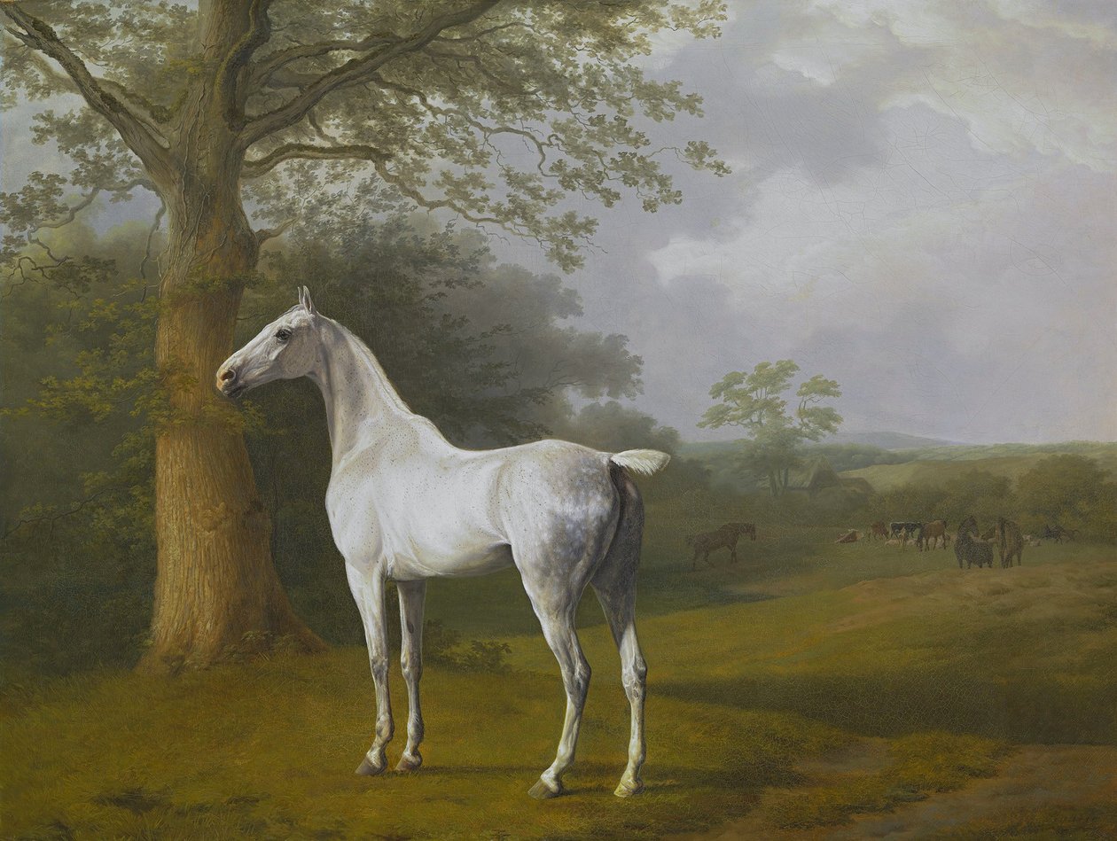 Szürke ló a legelőn alkotó: Jacques Laurent Agasse