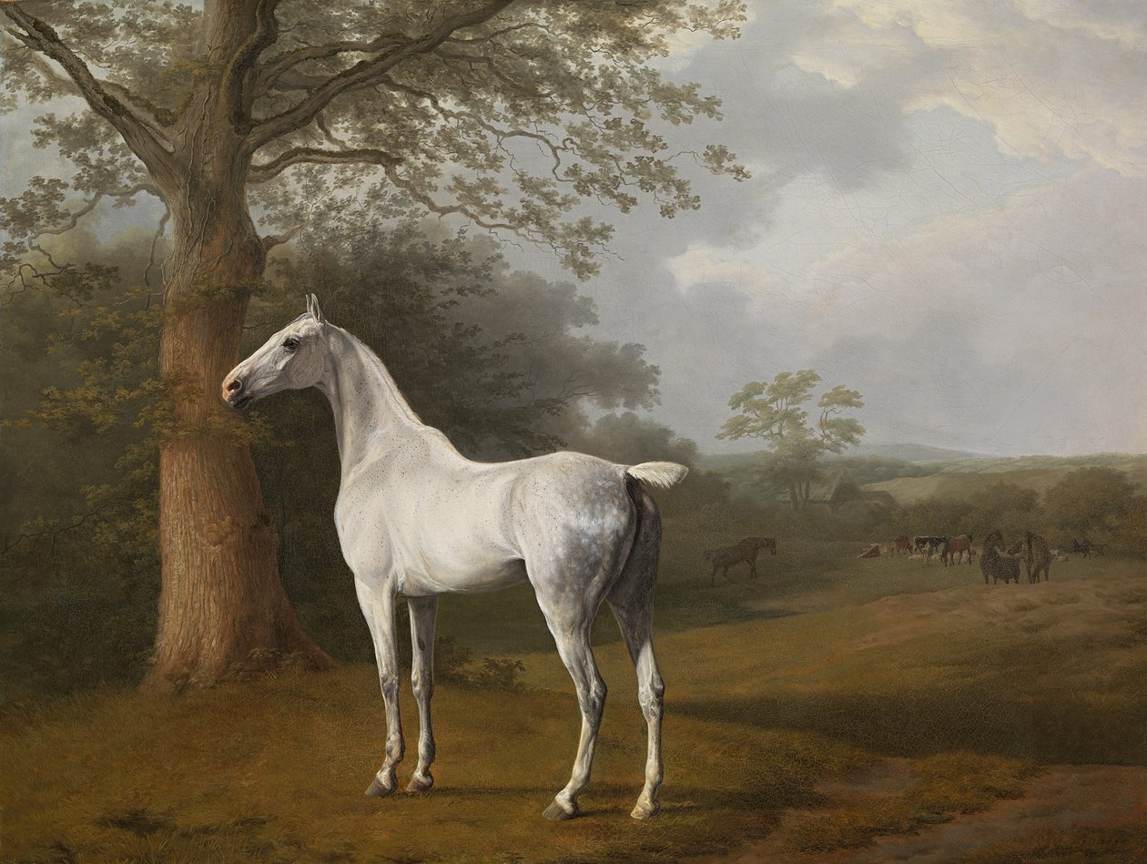 Szürke ló a réten alkotó: Jacques Laurent Agasse