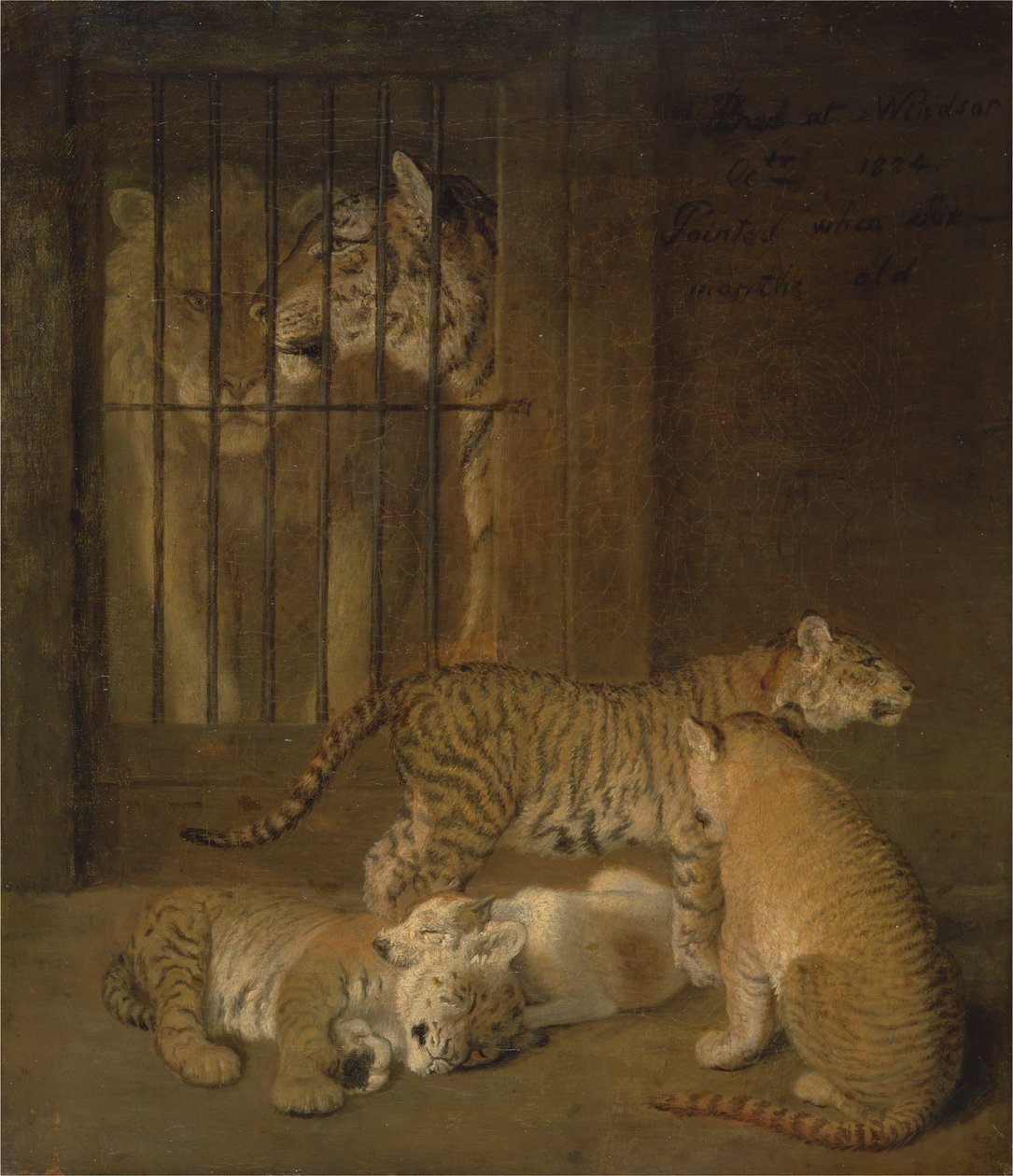 Oroszlán és tigris között szaporodó kölykök csoportja alkotó: Jacques Laurent Agasse