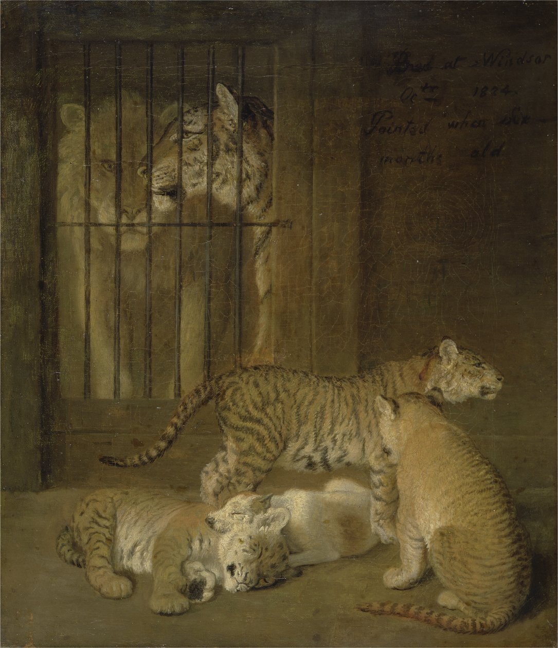 Oroszlán és tigris között szaporodó kölykök csoportja alkotó: Jacques Laurent Agasse