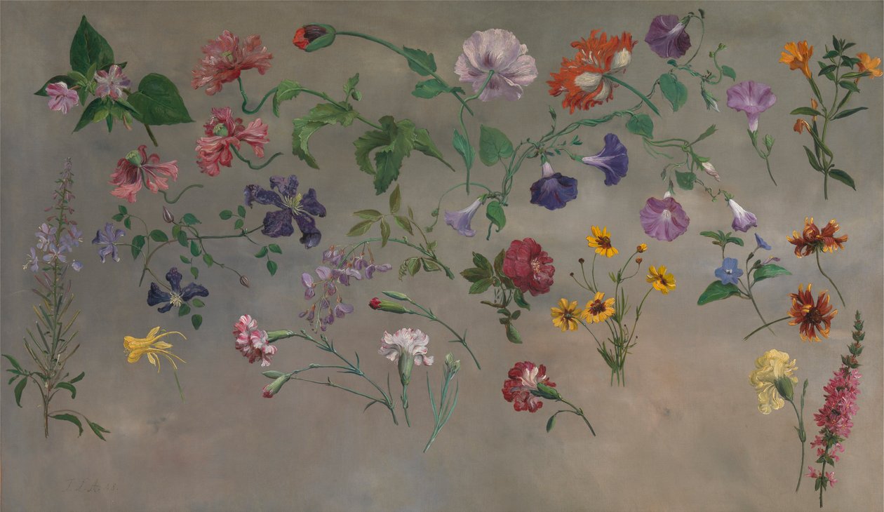 Studies of Flowers [1985, Cormack, YCBA Concise Catalogue] alkotó: Jacques Laurent Agasse