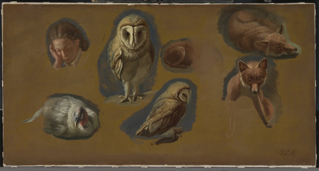 Tanulmányok egy rókáról, egy fülesbagolyról, egy borsóról és egy fiatalember fejéről alkotó: Jacques Laurent Agasse