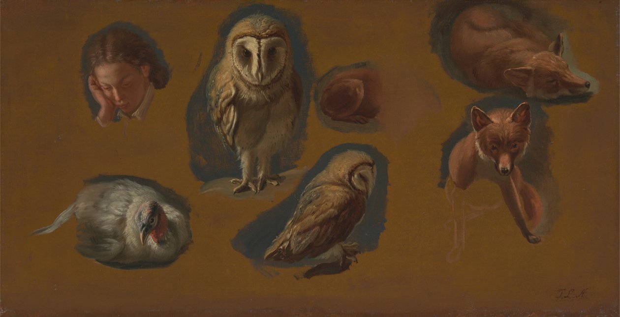 Tanulmányok egy rókáról, egy gyöngybagolyról, egy borsóról és egy fiatalember fejéről alkotó: Jacques Laurent Agasse