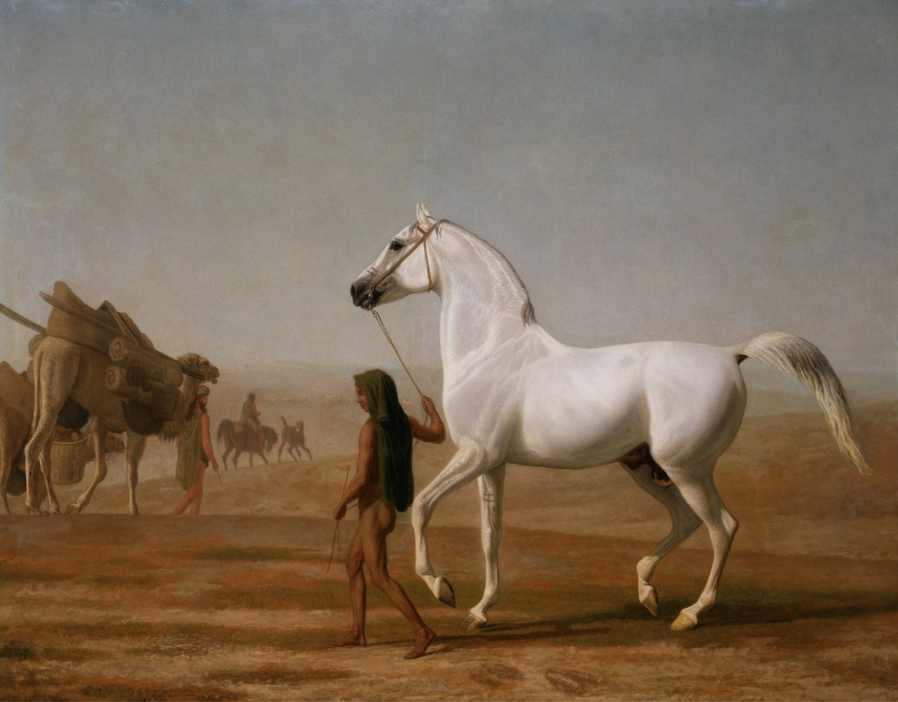 A Wellesley szürke arab átvezetett a sivatagon alkotó: Jacques Laurent Agasse