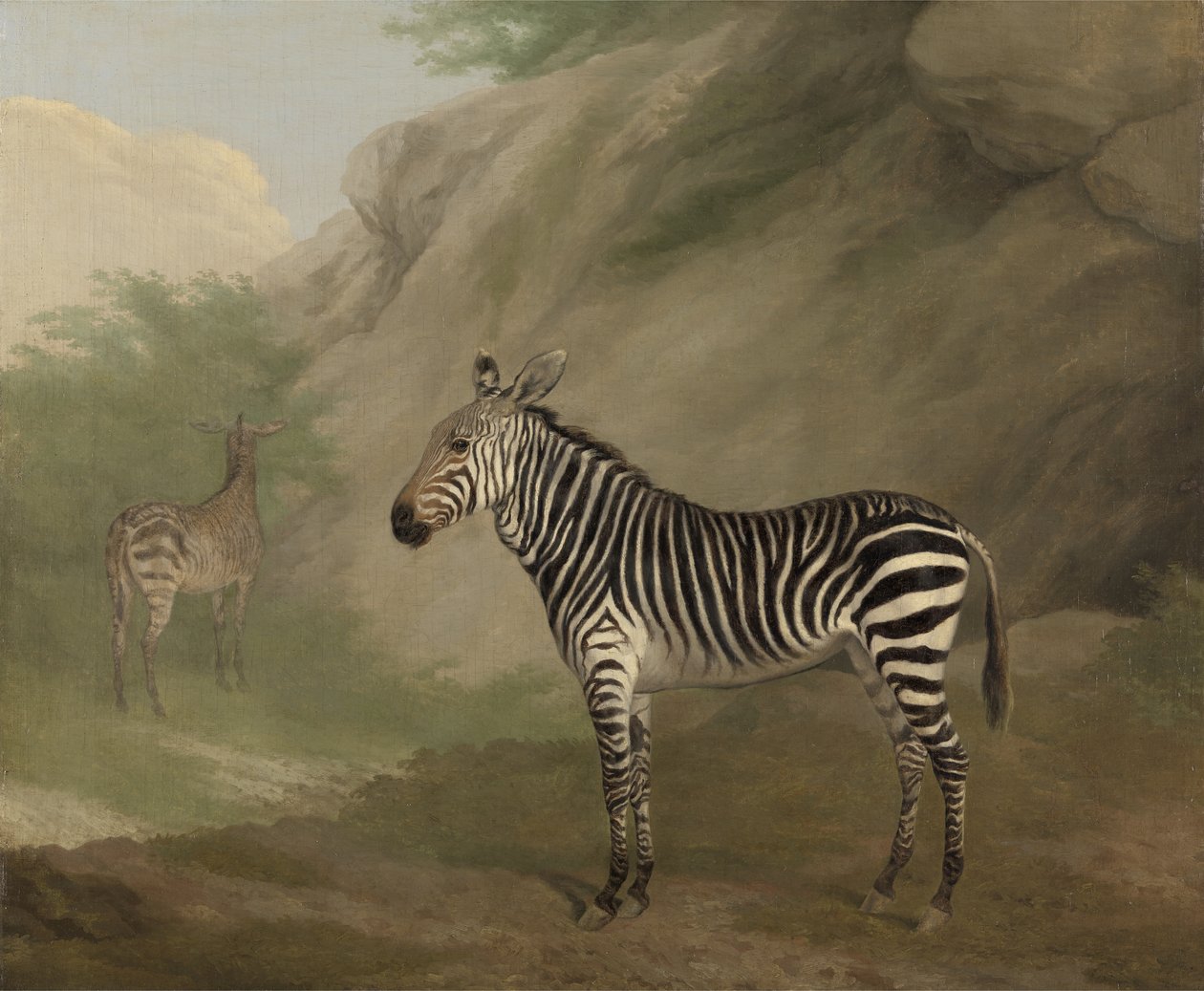 Zebra alkotó: Jacques Laurent Agasse