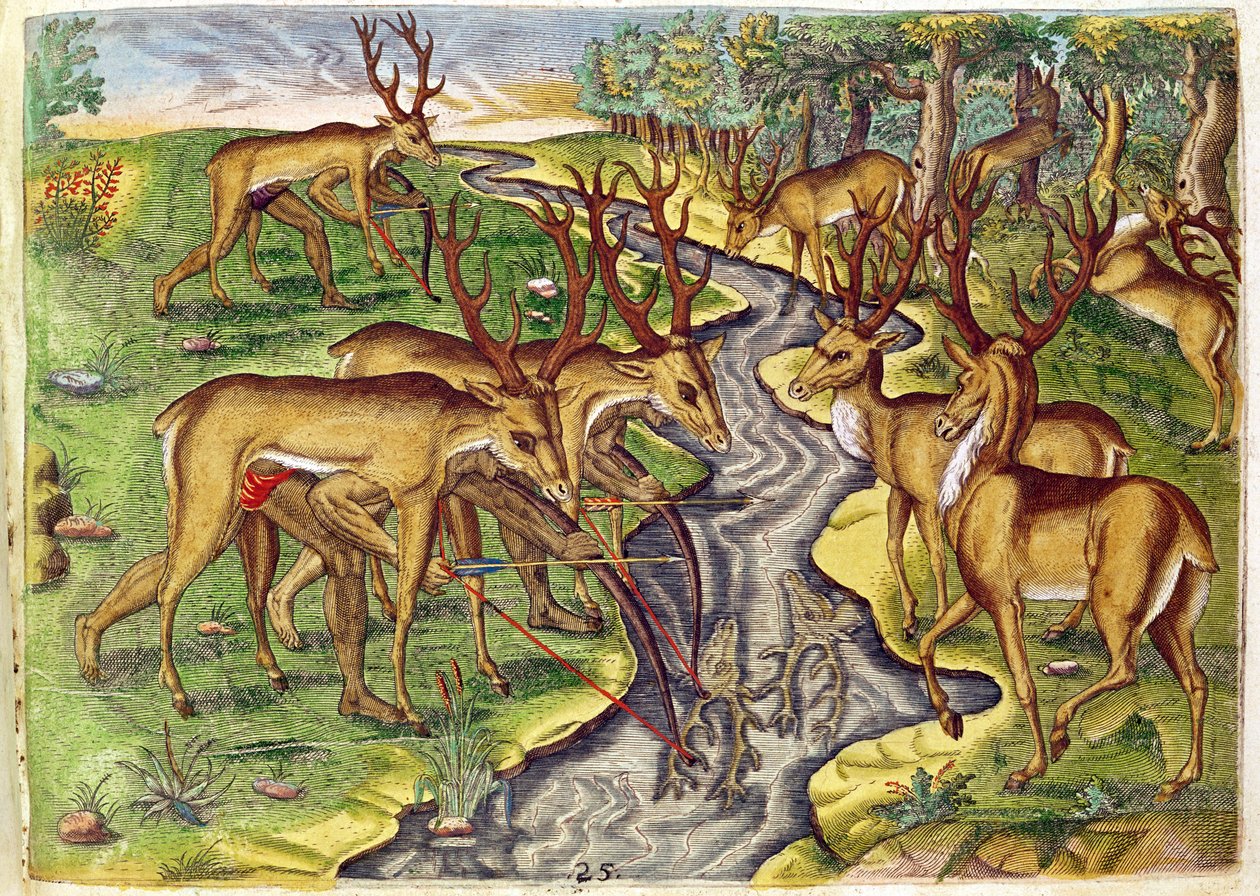 Szarvasvadászat a „Brevis Narratio...”-ból, Theodore de Bry (1528-98) metszete, 1563 alkotó: Jacques Le Moyne