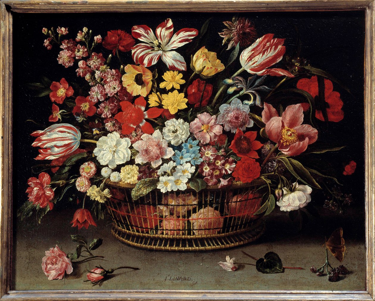Gyümölcskosár festmény: Jacques Linard (1600-1645) alkotó: Jacques Linard