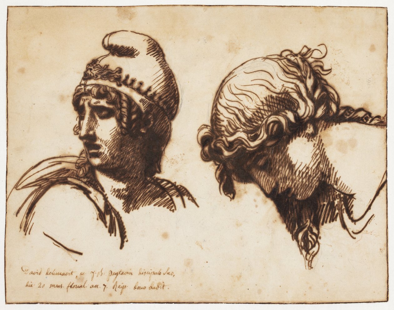 Egy nő és egy kisállat feje alkotó: Jacques Louis David