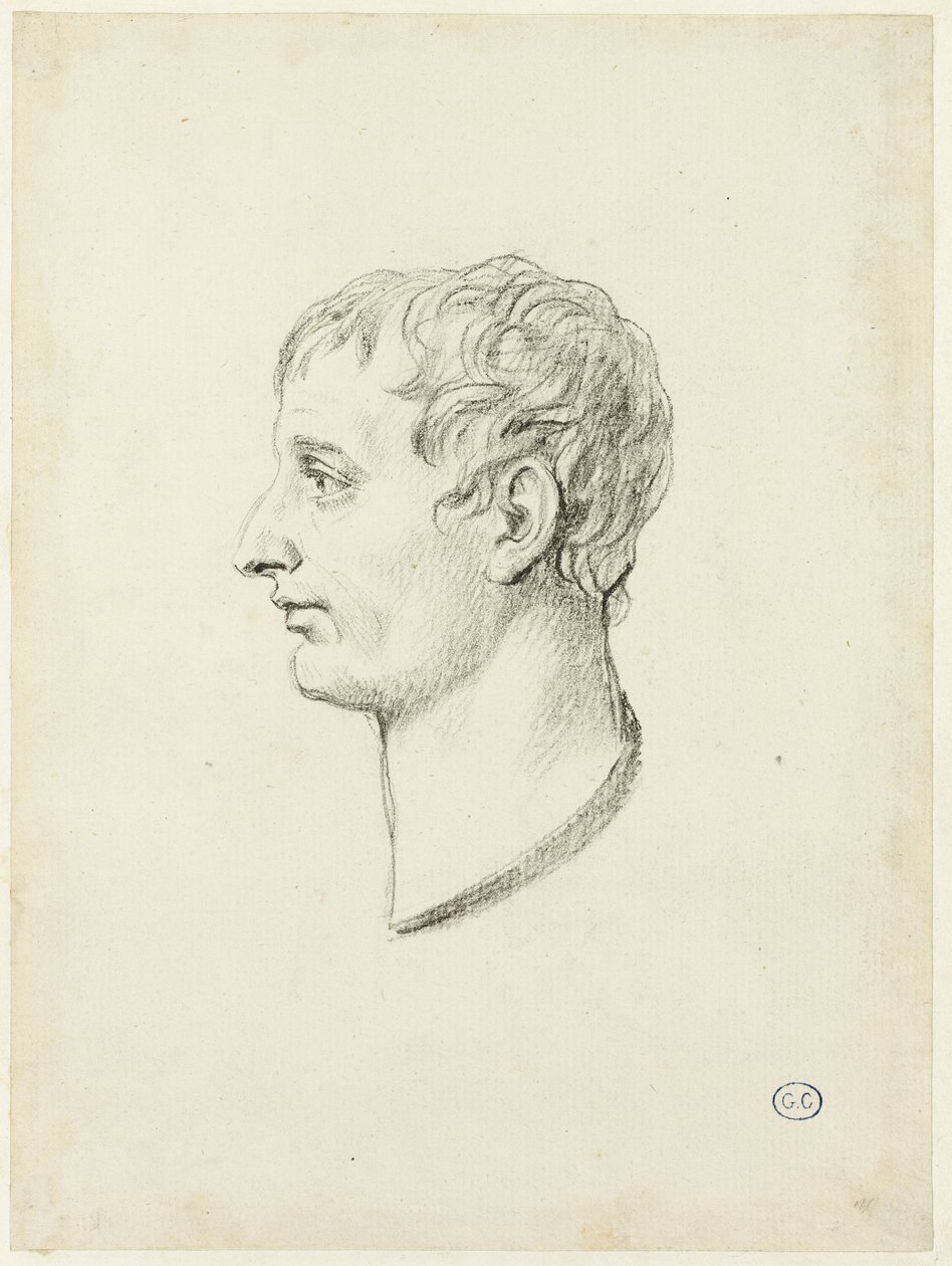 Napóleon profilja alkotó: Jacques Louis David