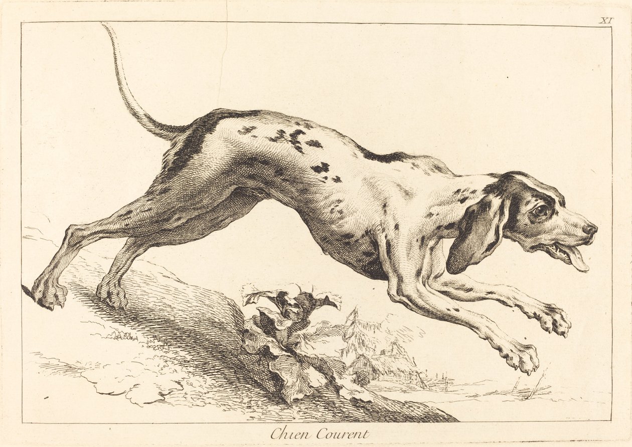 Chien courent (futókutya) alkotó: Jacques Philippe Le Bas and Jean Eric Rehn after Jean Baptiste Oudry