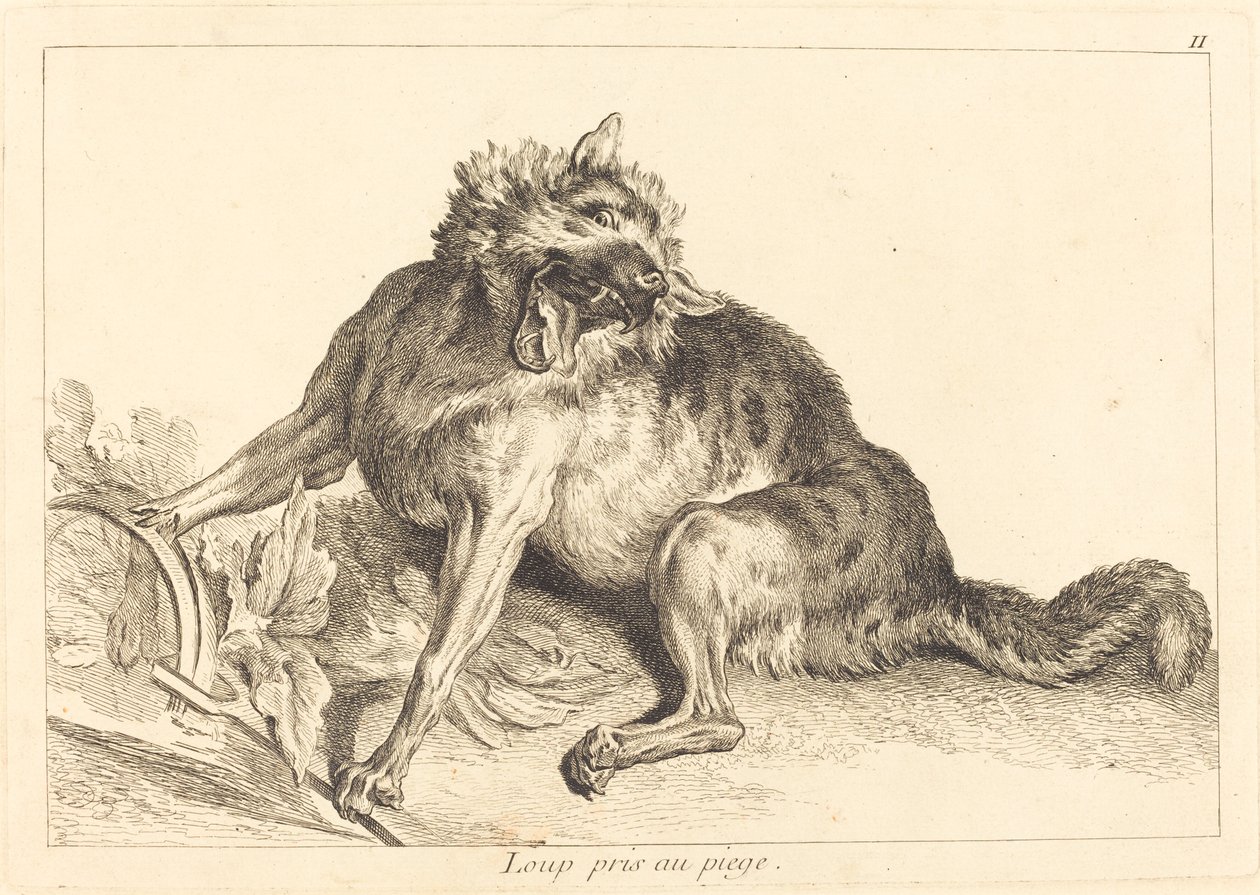 Farkas csapdába esett alkotó: Jacques Philippe Le Bas and Jean Eric Rehn after Jean Baptiste Oudry