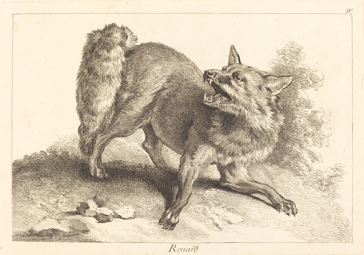 Renard (róka) alkotó: Jacques Philippe Le Bas and Jean Eric Rehn after Jean Baptiste Oudry