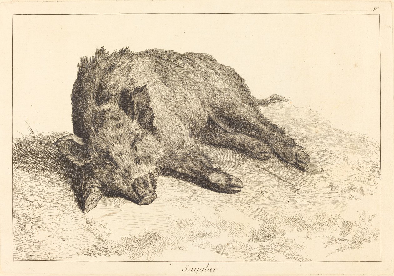Sanglier (vaddisznó fekve, irány balra) alkotó: Jacques Philippe Le Bas and Jean Eric Rehn after Jean Baptiste Oudry