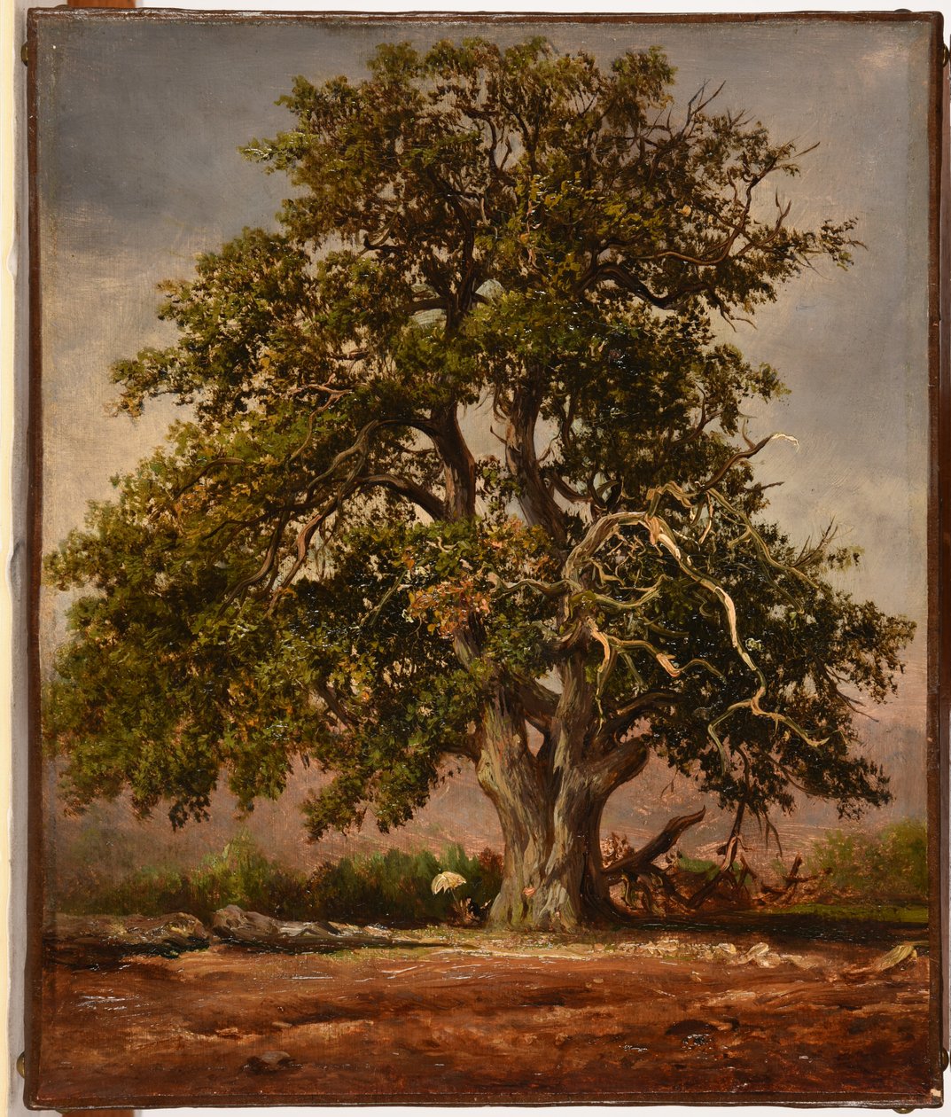 Le Vieux chêne alkotó: Jacques Raymond Brascassat