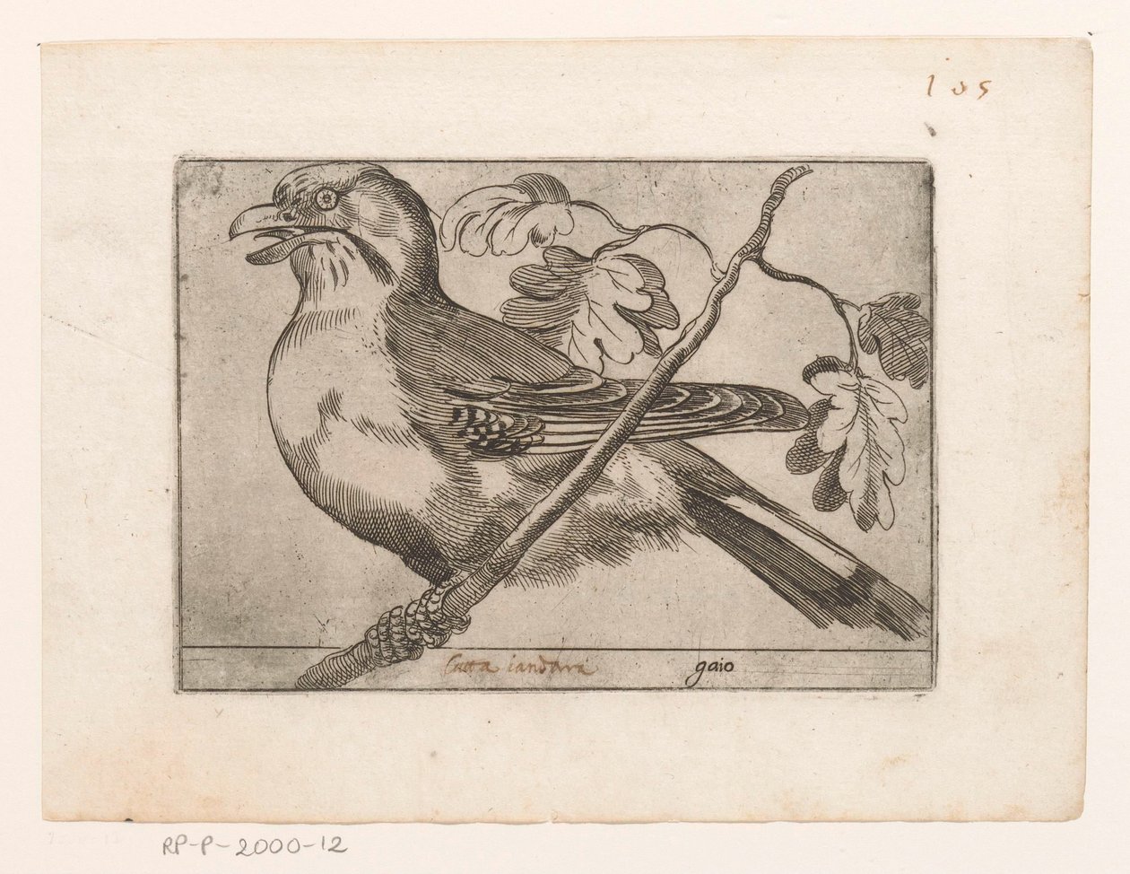 Gaai Gaio (cím az objektumon) Vogels (sorozat címe) alkotó: Jacques de Fornazeris (possibly)