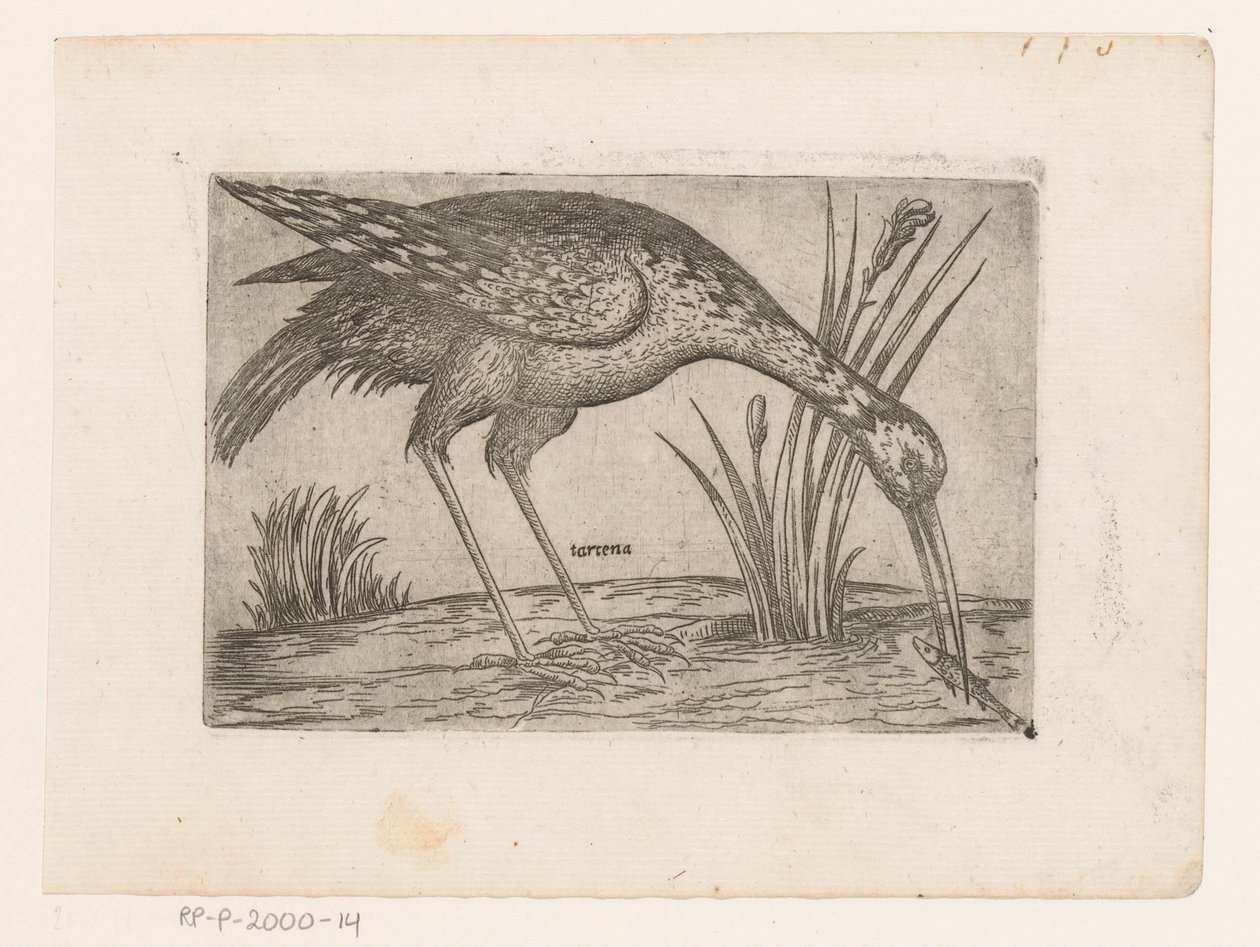 Vogel Tartena (cím az objektumon) Vogels (sorozat címe) alkotó: Jacques de Fornazeris (possibly)