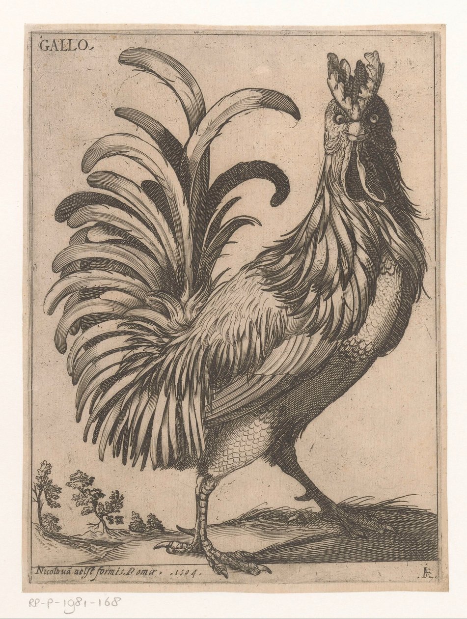 kakas Gallo (cím a tárgyon) Kilenc madár (sorozat címe) alkotó: Jacques de Fornazeris
