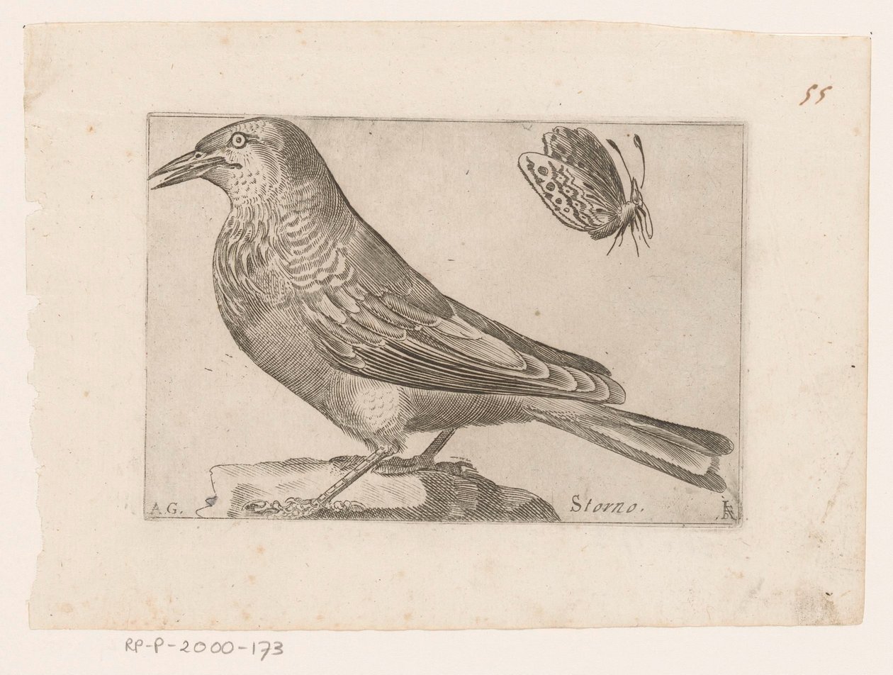 Seregély (Sturnus vulgaris) Lemondás (cím az objektumon) Madarak (sorozat címe) alkotó: Jacques de Fornazeris