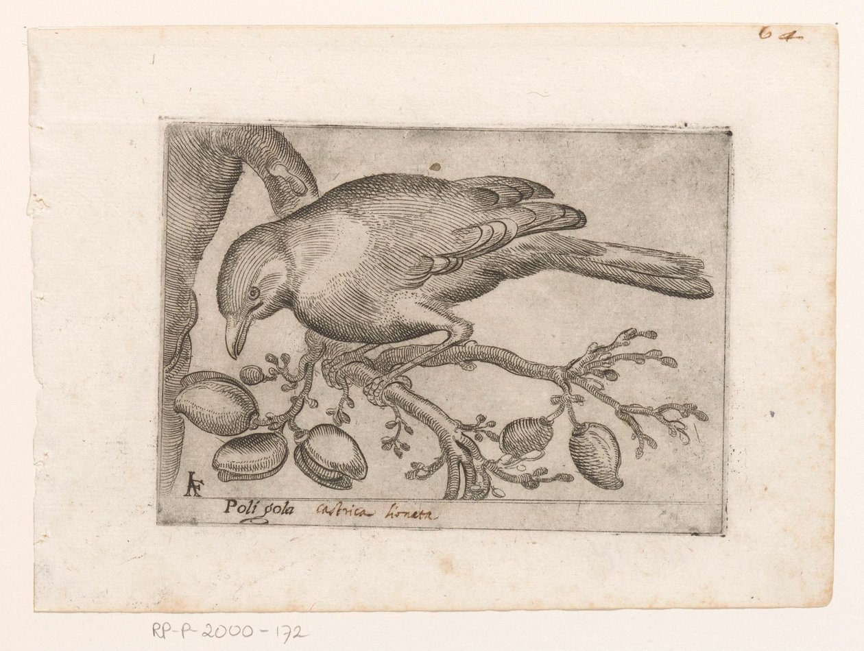 Vogel Poli gola (cím a tárgyon) Vogels (sorozat címe) alkotó: Jacques de Fornazeris
