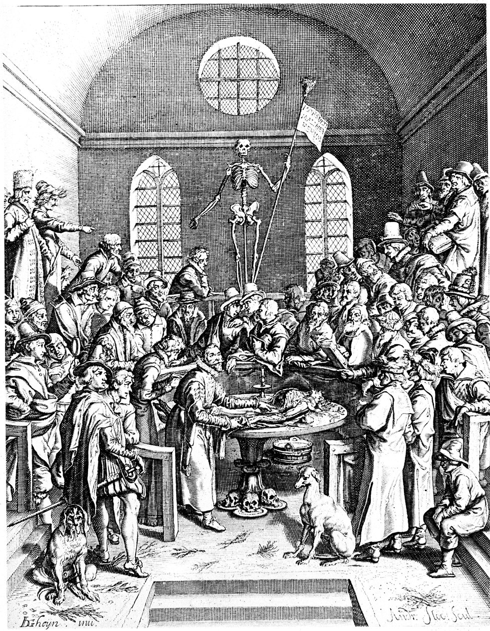 16. század végi anatómiai színház, Jacques de Gheyn, az idősebb, 1633 alkotó: Jacques de Gehyn the Elder