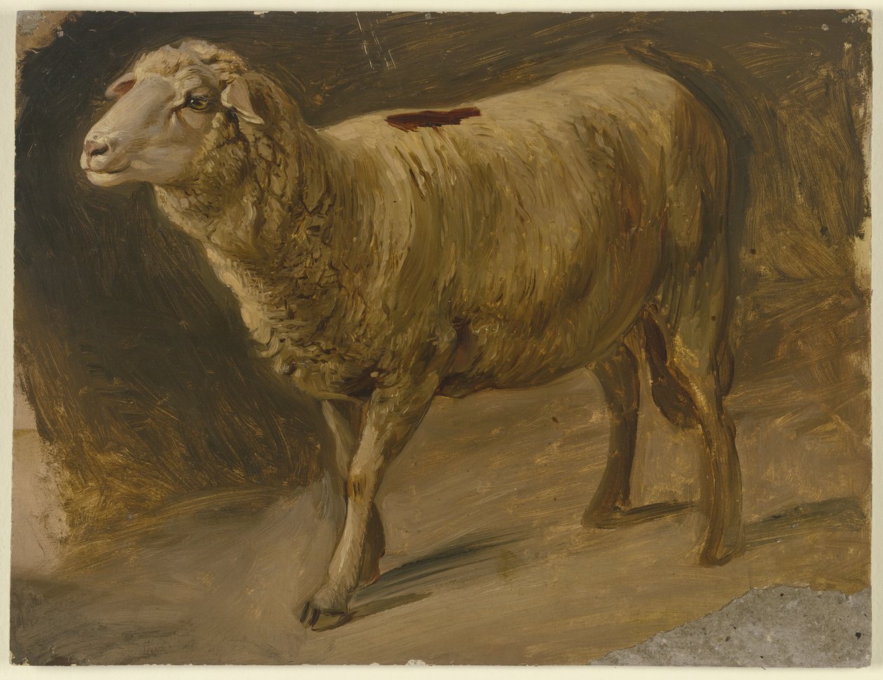 Juhok alkotó: Jakob Becker