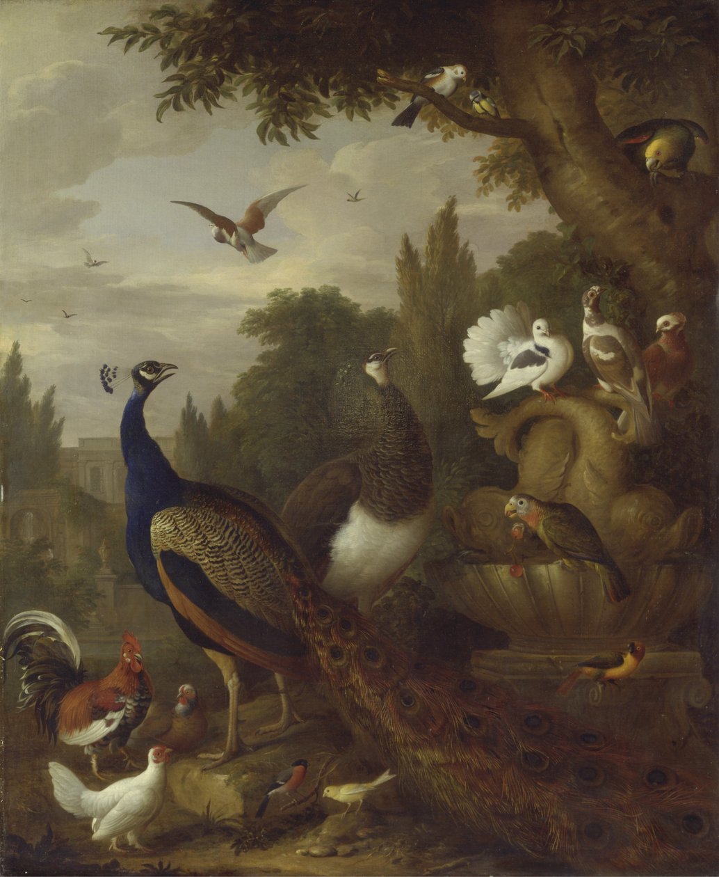 Páva, borsó, papagáj, kanári és más madarak egy parkban, 1708-1010 körül alkotó: Jakob Bogdani or Bogdany