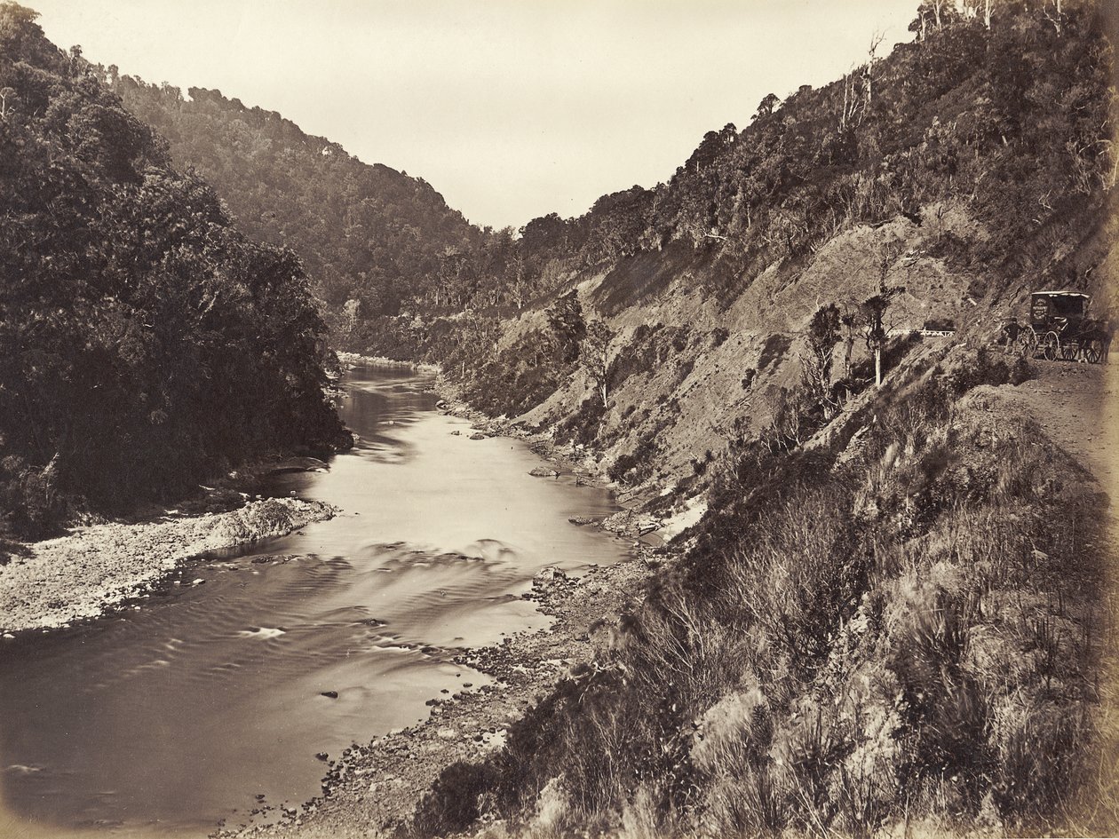 Manawatu Gorge 1 mérföldre a hídtól, 1878 (albumnyomat) alkotó: James Bragge
