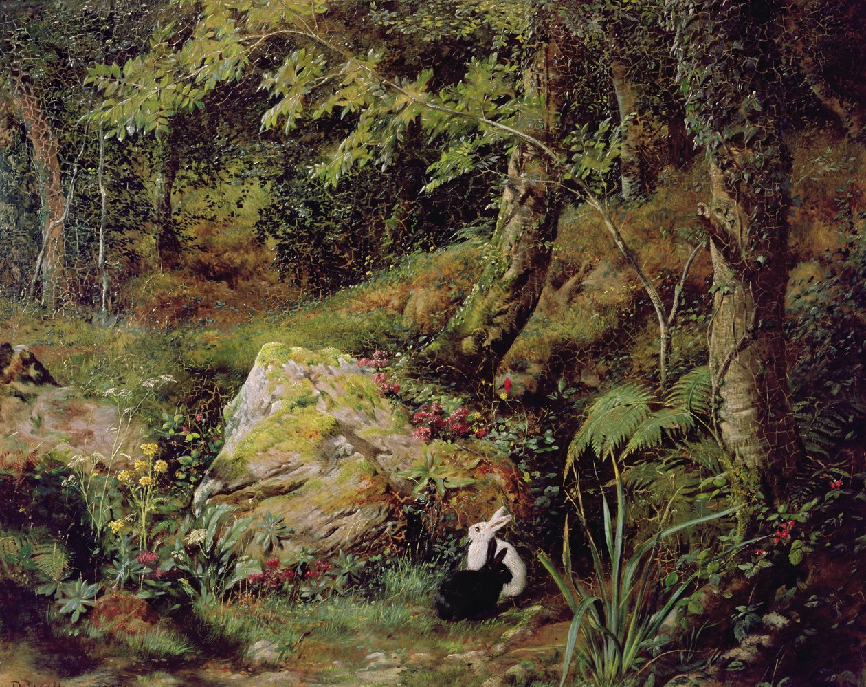 Kóbor nyulak alkotó: James Collinson