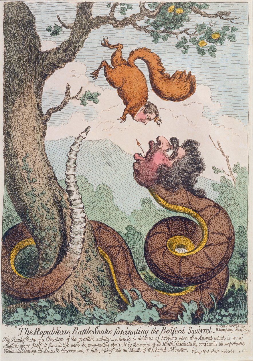 A republikánus csörgőkígyó, amely elbűvöli a bedfordi mókust, Hannah Humphrey adta ki 1795-ben (kézzel színezett rézkarc) alkotó: James Gillray