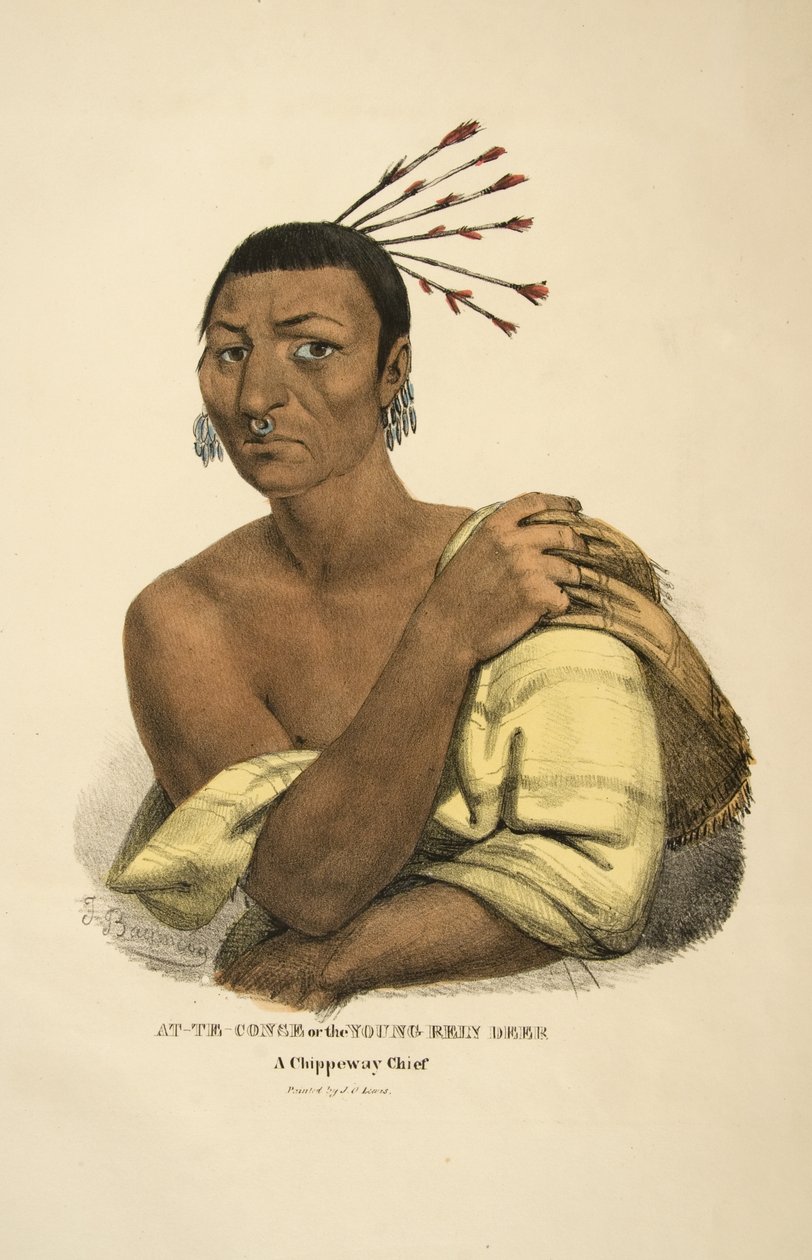 At-te-conse vagy a fiatal rénszarvas alkotó: James Otto Lewis