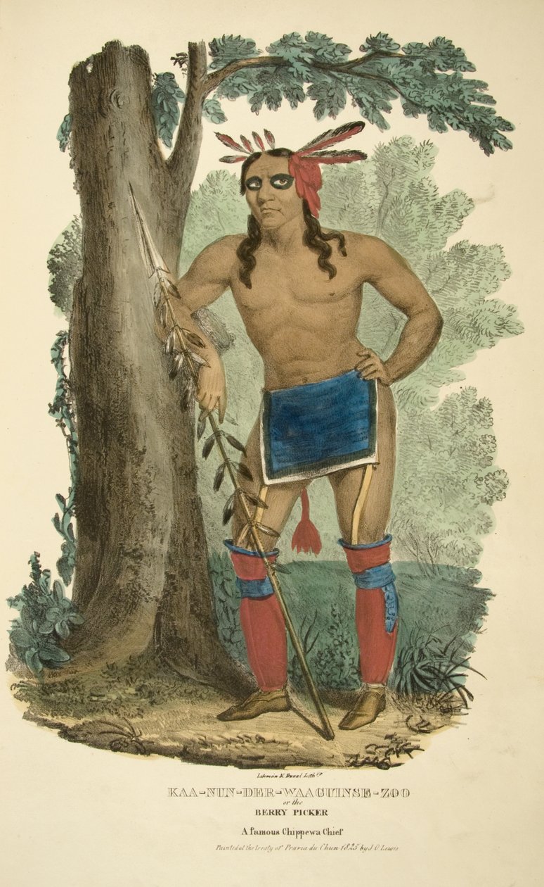 Kaa-nun-der-waaguinse-zoo vagy a Bogyószedő alkotó: James Otto Lewis