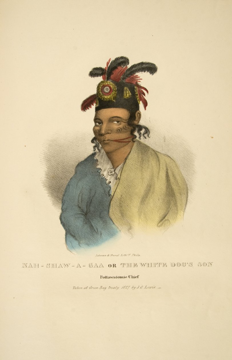 Nah-shaw-a-gaa vagy The White Dogs Son alkotó: James Otto Lewis