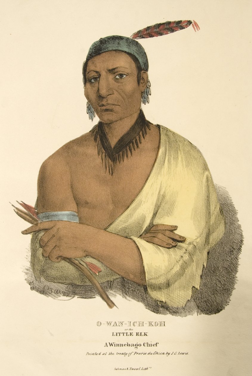 O-wan-ich-koh vagy a Kis Elk alkotó: James Otto Lewis