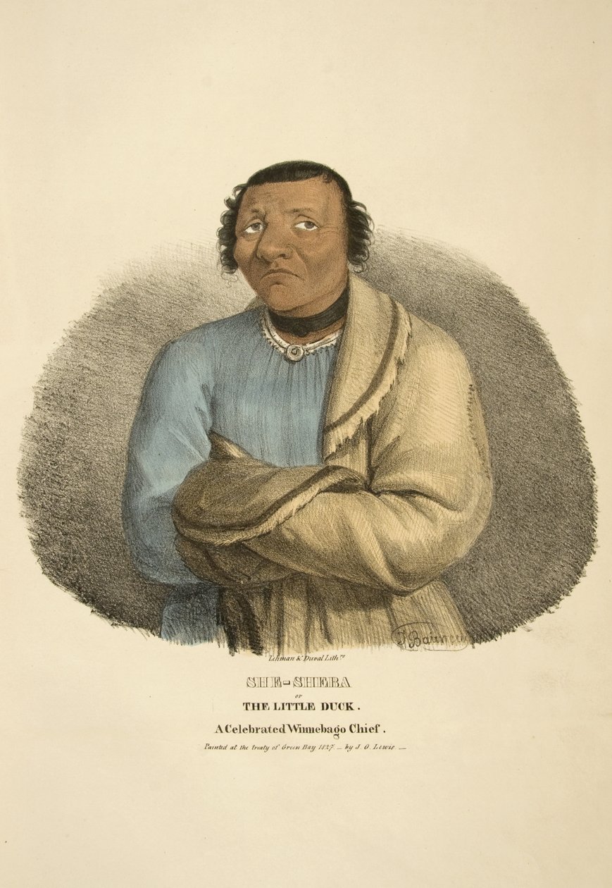She-sheba vagy A kiskacsa alkotó: James Otto Lewis