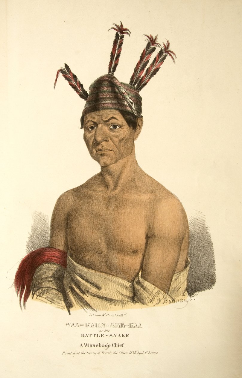 Waa-kaun-see-ka vagy a csörgőkígyó alkotó: James Otto Lewis