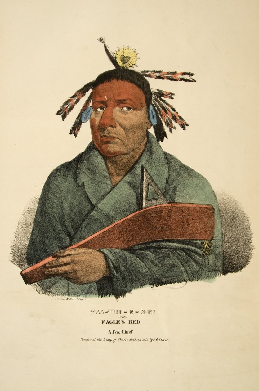 Waa-top-e-not vagy az Eagles Bed alkotó: James Otto Lewis