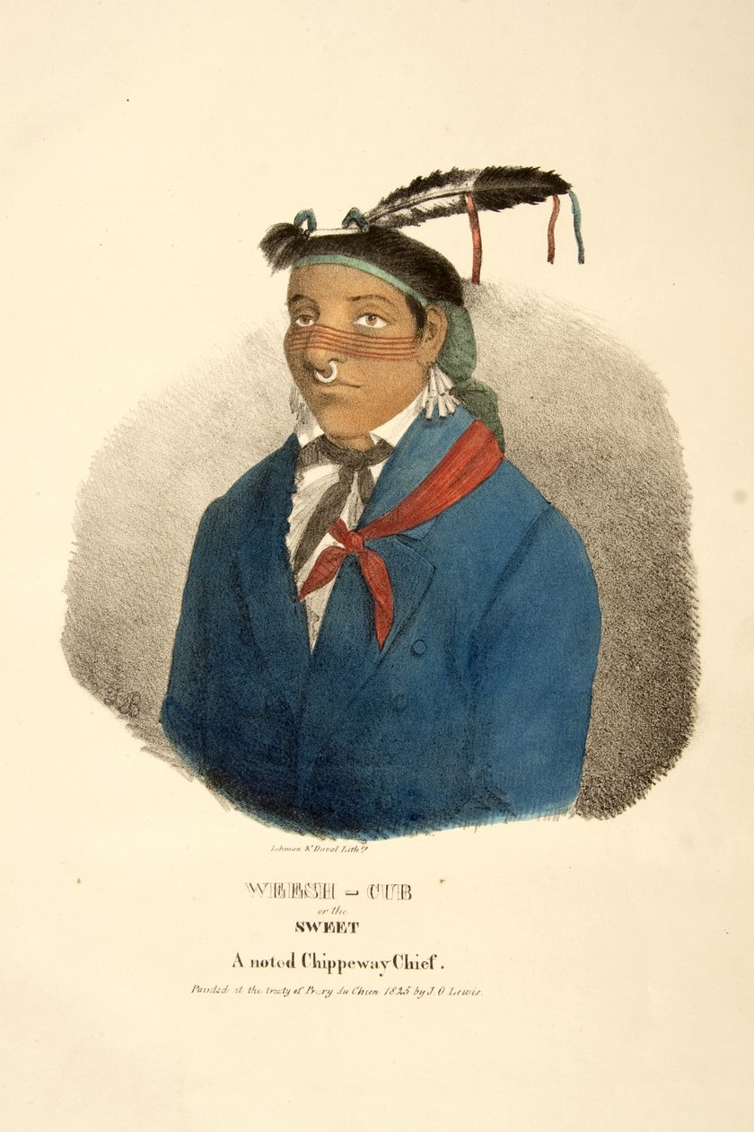Weesh-cub vagy a Sweet alkotó: James Otto Lewis