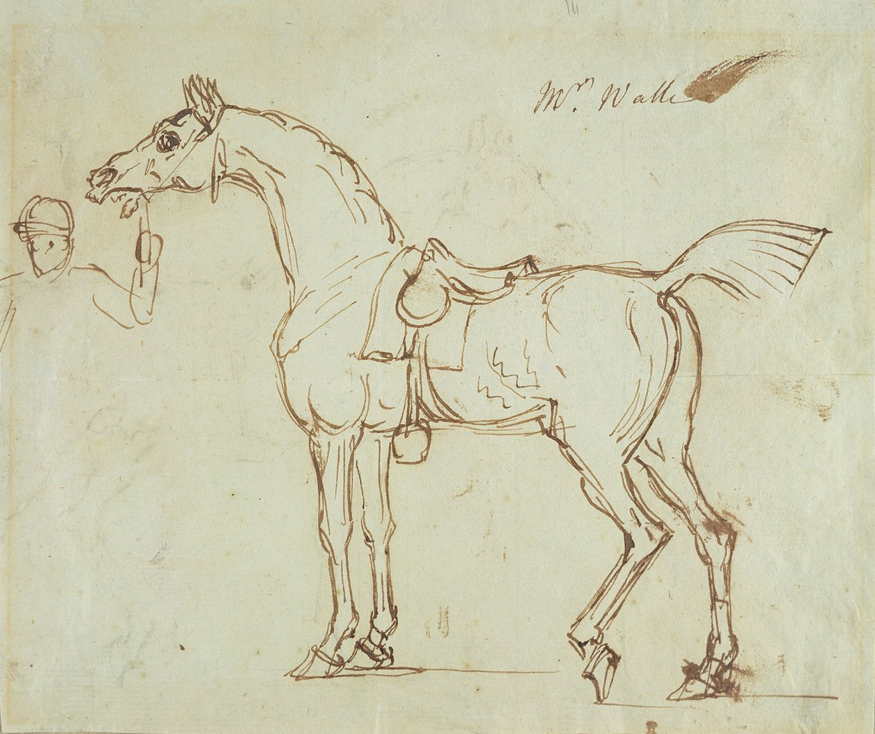 Versenyló, kantáros és nyerges (toll és tinta papíron) alkotó: James Seymour