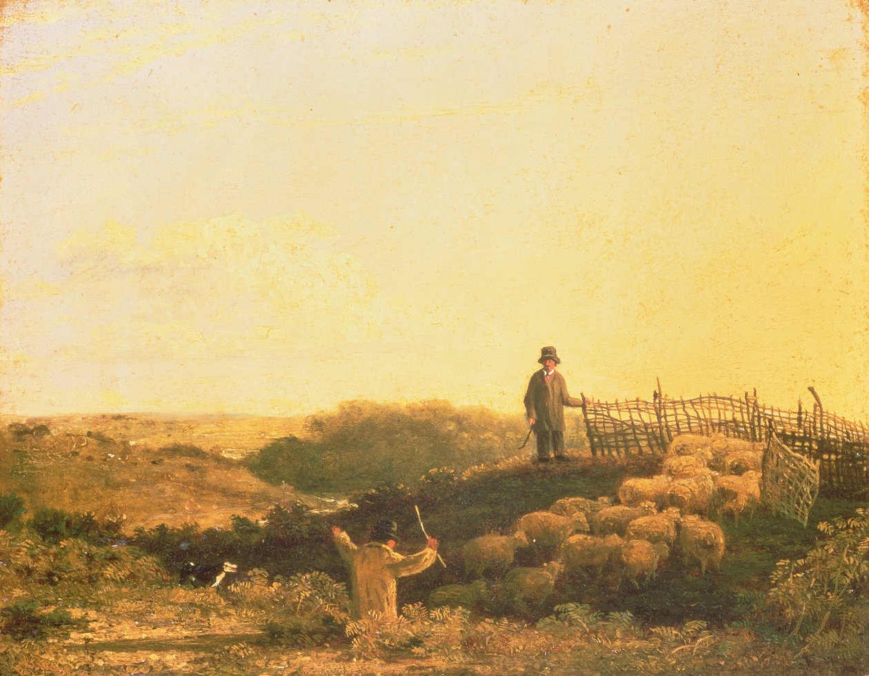 A nyáj befogása alkotó: James Stark