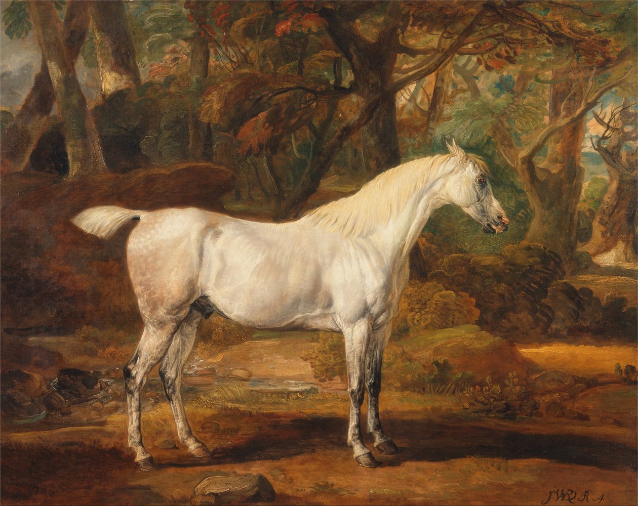 Szürke arab mén, Sir Watkin Williams-Wynn tulajdona alkotó: James Ward