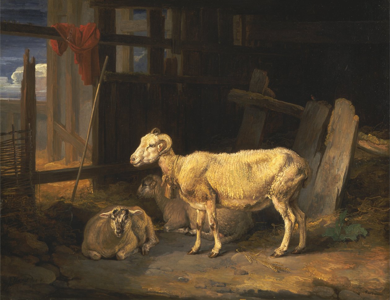 Heath Ewe és Bárányok alkotó: James Ward