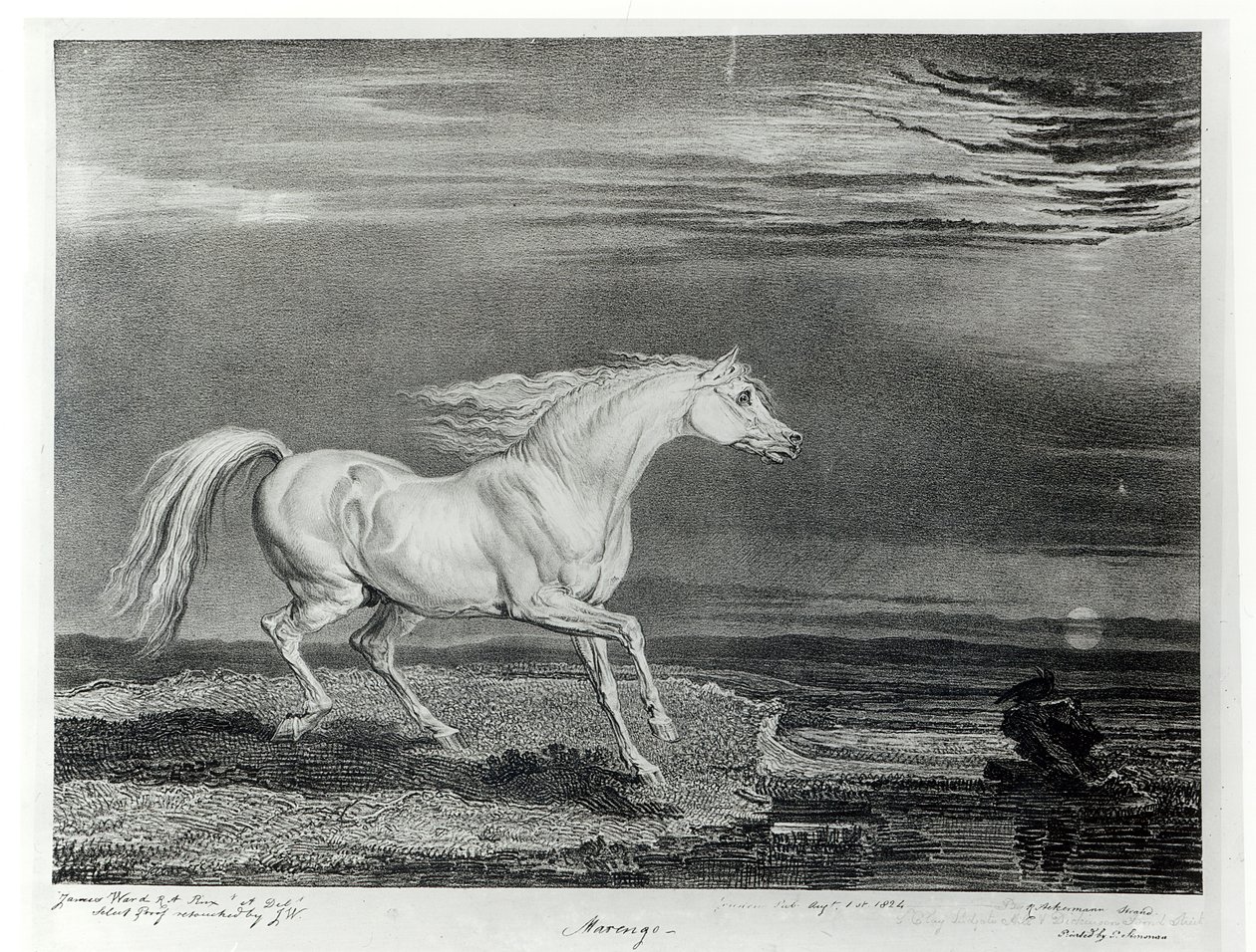 Marengo, a művész által metszett, kocsma. R. Ackermann, 1824 alkotó: James Ward