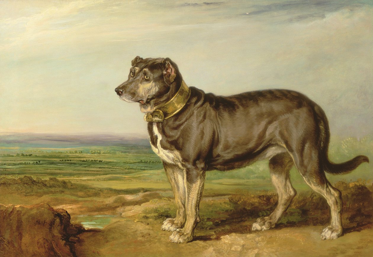Vic, a spanyol véreb portréja, 1818-20 körül alkotó: James Ward