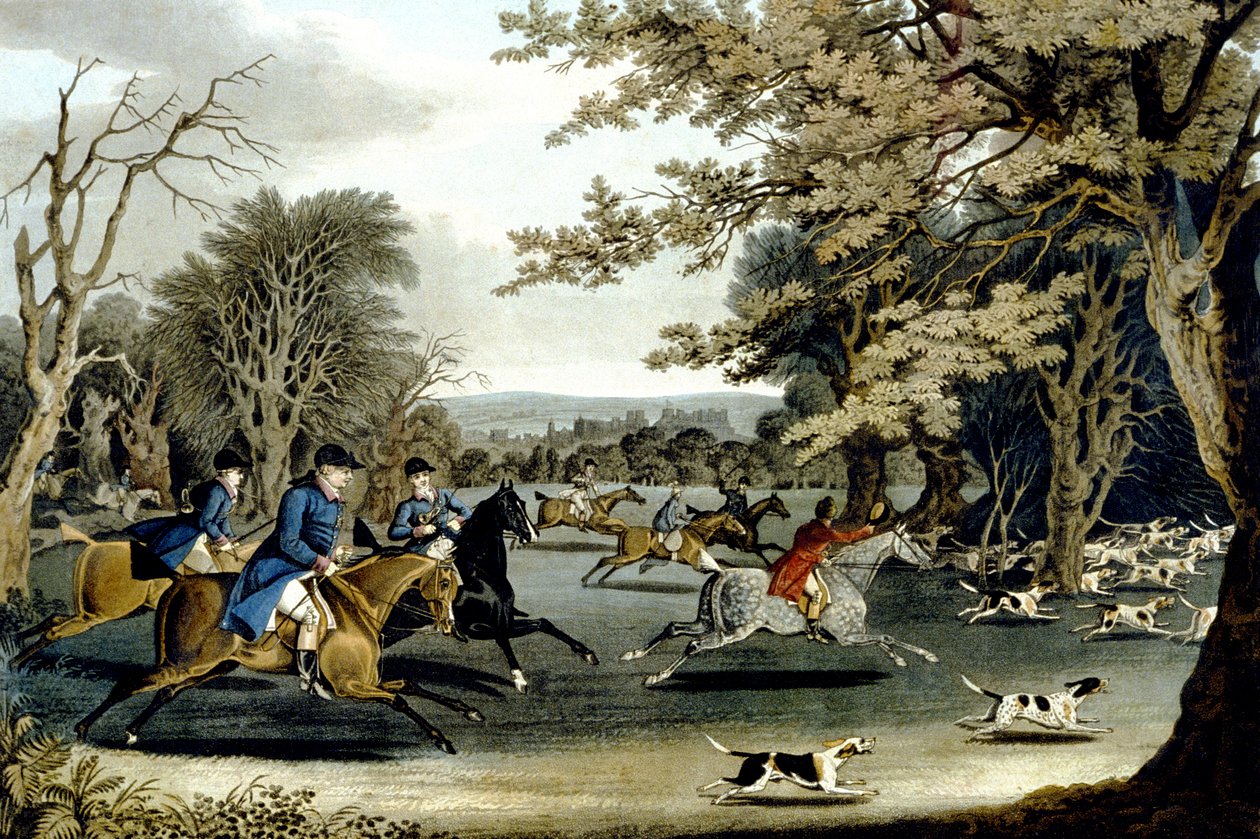 Királyi vadászat a Windsor Parkban, metszett Matthew Dubourg (fl.1813-20) 1829 (színes litó) alkotó: James (after) Pollard