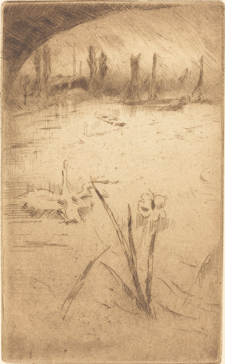 Hattyú és írisz, 1883-ban jelent meg. alkotó: James Abbott McNeill Whistler