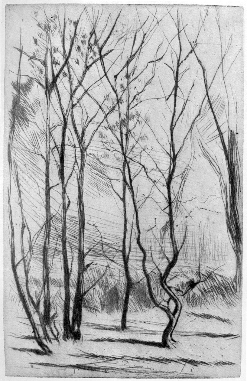 The Dam Wood, 1875, 1904. alkotó: James Abbott McNeill Whistler